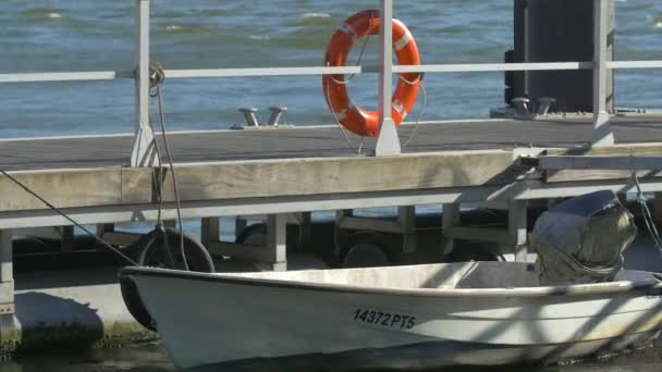 White Motor Boat Floating River — Stock Video
