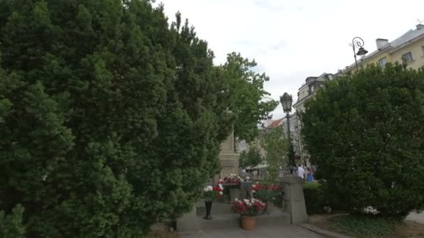 Statua Della Madre Dio Nel Parco Hoovera — Video Stock