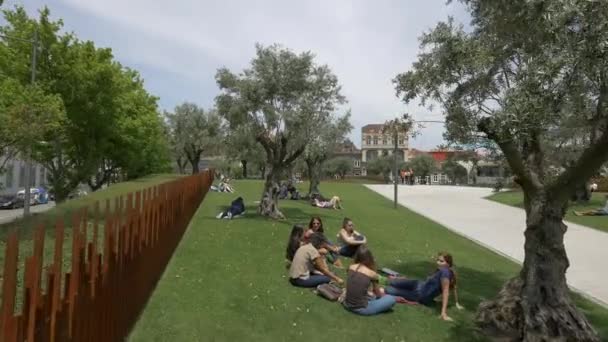 Des Gens Assis Sur Herbe Dans Parc — Video