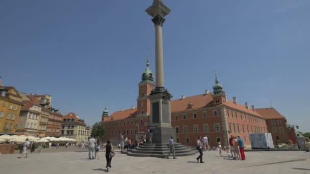 Iii Zsigmond Király Oszlopa Vártéren — Stock videók