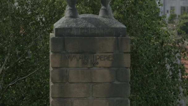 Estatua Vimara Peres Oporto — Vídeos de Stock