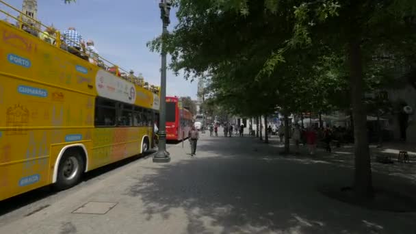 Sightseeing Tour Buses Parked Sidewalk — Stock Video