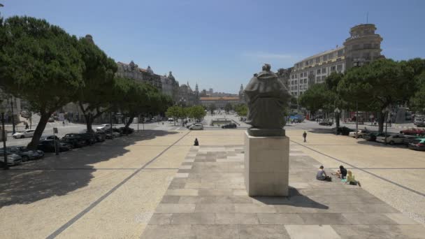 Parte Trás Uma Estátua Porto — Vídeo de Stock