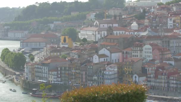 Panoramic View Porto Buildings — Stock Video