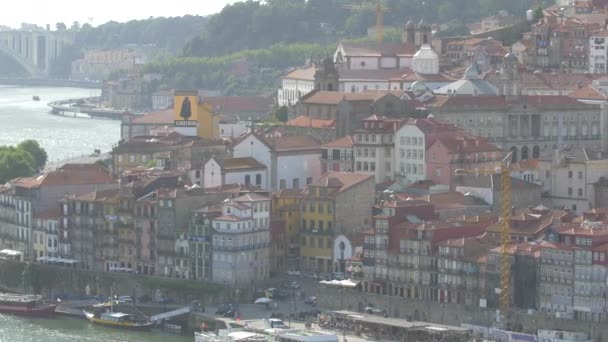 Douro Riverside Buildings — Stock Video