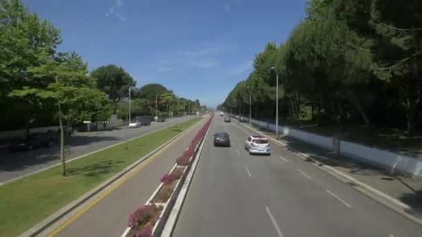 Straatverkeer Een Laan — Stockvideo