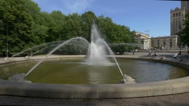 公園内の泉 — ストック動画