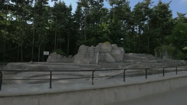 Stone Sculpture Park — Stock Video