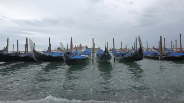 Gondolas Amarradas Laguna — Vídeo de stock