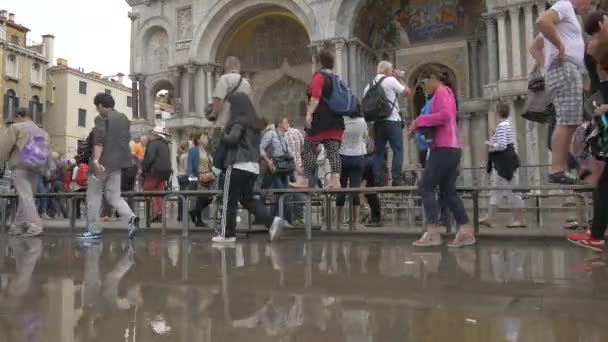 Turister Går Framför Markuskyrkan — Stockvideo