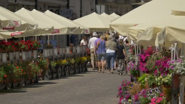 Turisták Sétálnak Egy Sikátorban Színes Virágokkal — Stock videók