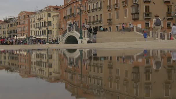 Пливуть Воду Біля Мосту — стокове відео