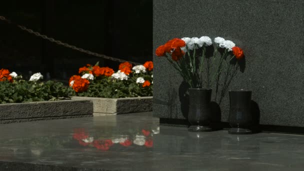 Red White Carnations Next Marble Pedestal — Video