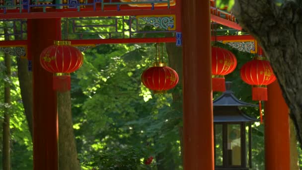 Lanternes Chinoises Rouges Intérieur Pavillon Pagode — Video