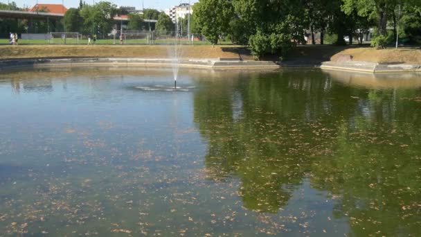 公園内の小さな湖の上の泉 — ストック動画