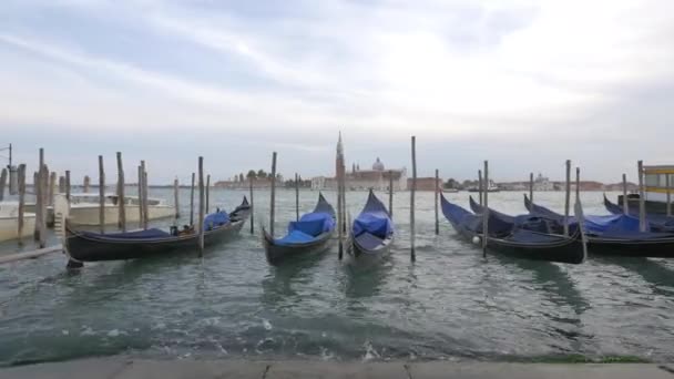 Gondolas Amarradas Laguna Veneciana — Vídeos de Stock