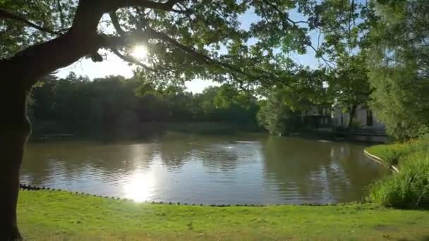 Teich Belvedere Einem Sonnigen Tag Lazienki Park — Stockvideo