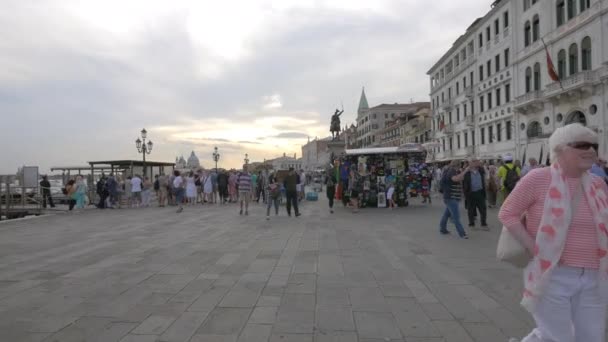 Άνθρωποι Περπατούν Στο Riva Degli Schiavoni — Αρχείο Βίντεο