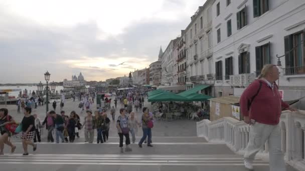 Multietničtí Turisté Kráčející Mostě — Stock video