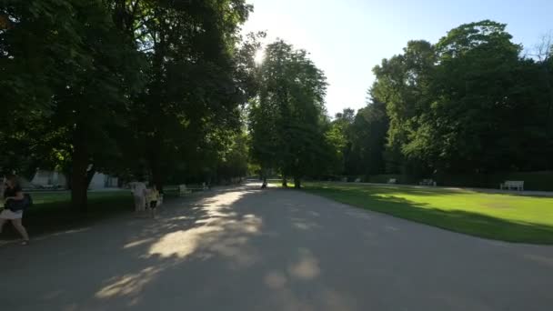 Güneşli Bir Günde Lazienki Parkı Nda Yürümek — Stok video