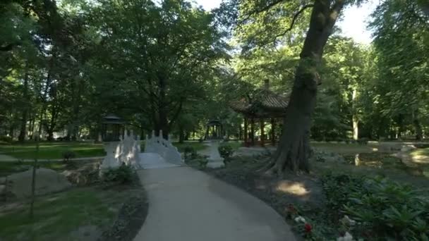 Weiße Brücke Chinesischen Garten Lazienki Park — Stockvideo