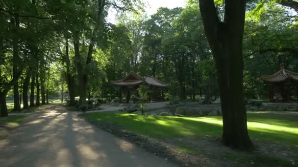 Chinese Tuin Lazienki Park — Stockvideo