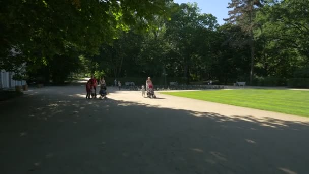 在Lazienki公园小巷里散步的家庭 — 图库视频影像