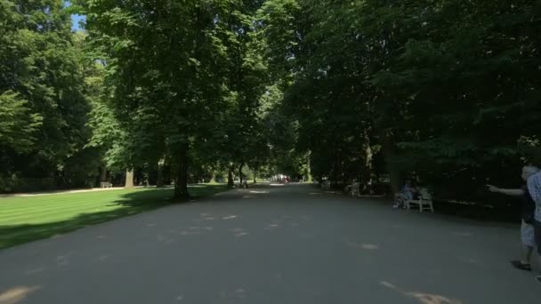 Lazienki Parkの背の高い木と白いベンチがある路地 — ストック動画