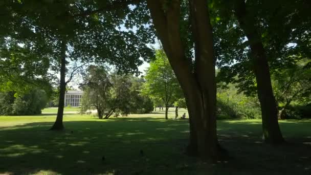 Lazienki Parkı Ağaçları — Stok video
