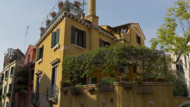 Casa Amarilla Con Plantas Maceta — Vídeo de stock