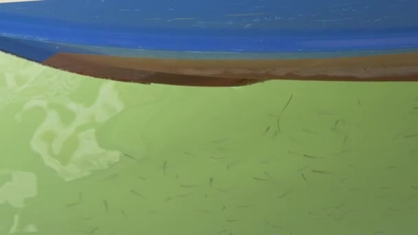 Рыба Плавает Лодкой — стоковое видео