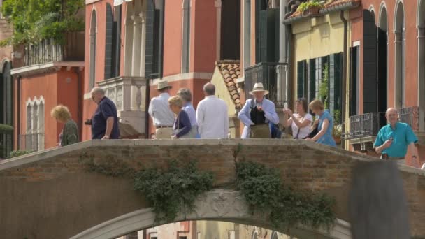 Grupo Ancianos Caminando Por Puente — Vídeos de Stock