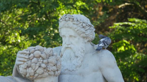 Dionysus Statue Pigeon Resting — ストック動画