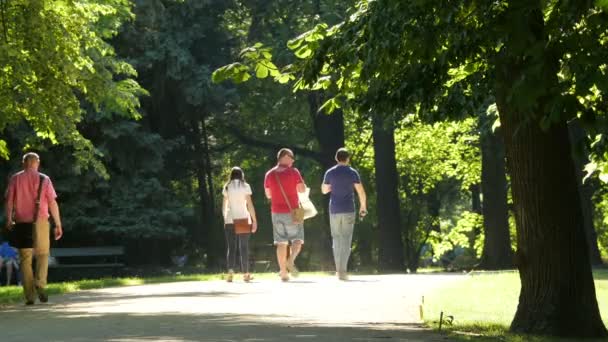Turisti Che Camminano Vicolo Del Parco — Video Stock