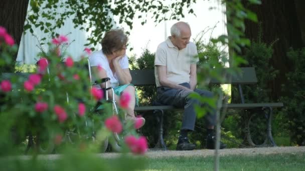 Casal Idosos Sentado Banco Parque — Vídeo de Stock