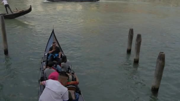 Roddande Gondoler Canal Grande — Stockvideo