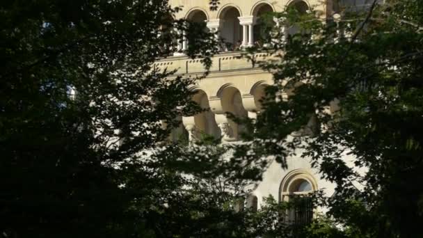 木やNeuschwanstein城の傾きのビュー — ストック動画