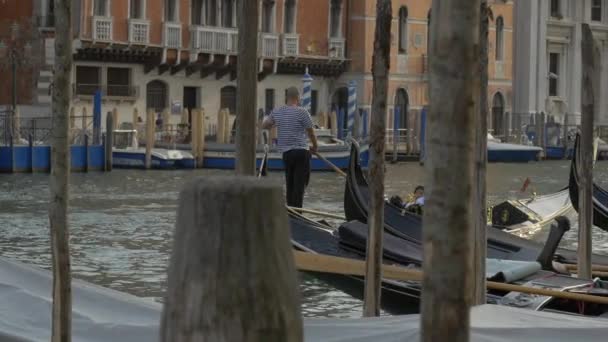 Man Peddelt Een Gondel Grand Canal — Stockvideo