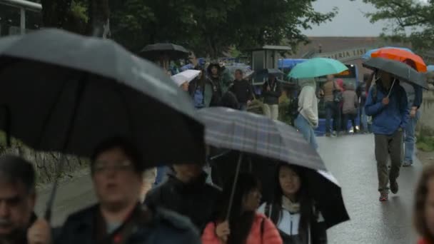 Touristes Marchant Pendant Pluie — Video