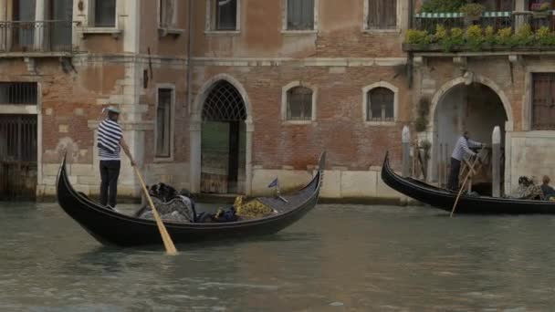 Pádlující Gondoly Benátkách — Stock video