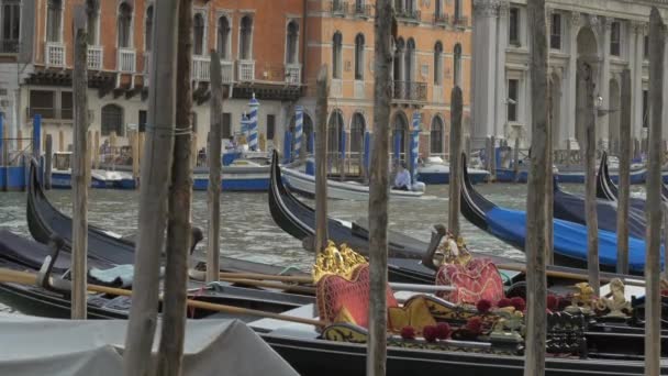 Góndolas Amarradas Venecia — Vídeos de Stock