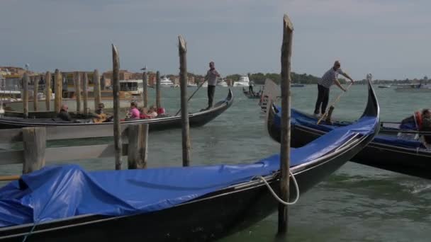 Rowing Gondolas Waterfront — Stock Video