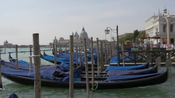 Gondolas Längs Vattnet — Stockvideo