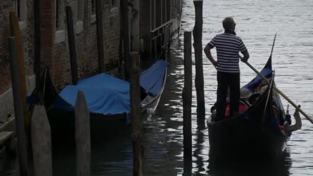 Flytande Gondoler Venedig — Stockvideo
