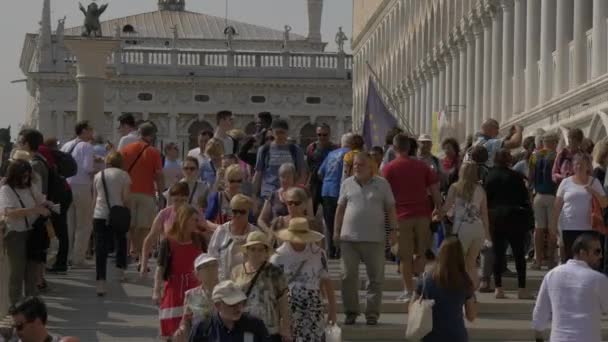 Turister Går Trappor — Stockvideo