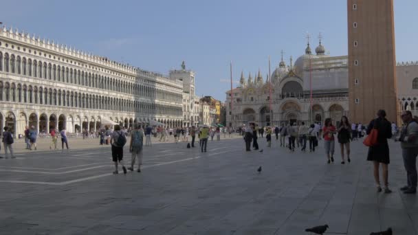 Piazza San Marco Megtekintése — Stock videók