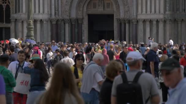 People Front Mark Basilica — Stock Video