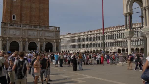 Turister Som Står Och Går Piazza San Marco — Stockvideo