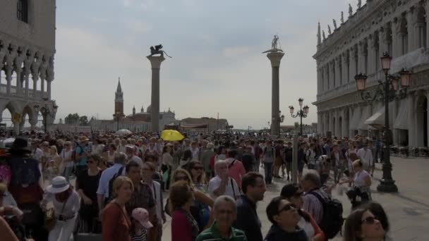 Туристы Площади Святого Марка — стоковое видео