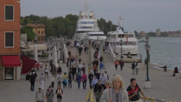 Les Gens Marchent Sur Front Mer — Video